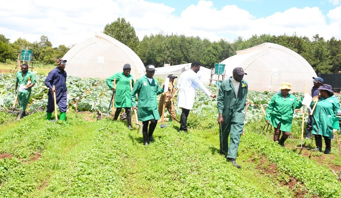 Farmer Training & Advisory